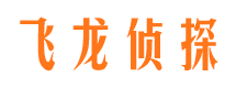 嘉黎市调查公司